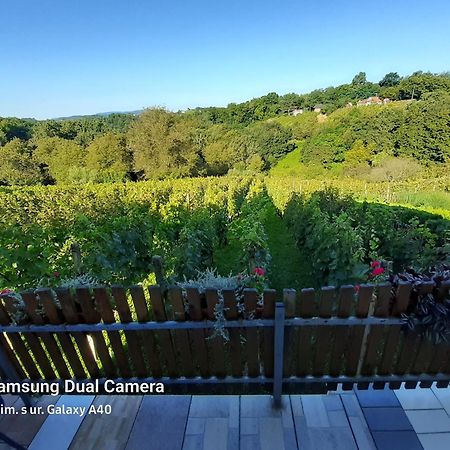 Varaždin Kuca Za Odmor Vinica Bregヴィラ エクステリア 写真