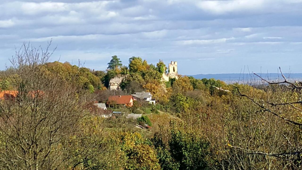 Varaždin Kuca Za Odmor Vinica Bregヴィラ エクステリア 写真